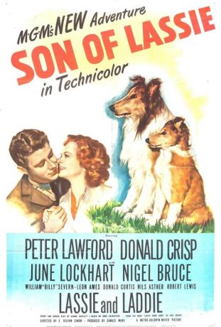 Сын Лесси (1945)
