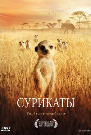 Сурикаты (2008)