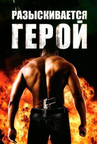 Разыскивается герой (2008)