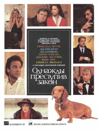 Однажды преступив закон (1993)