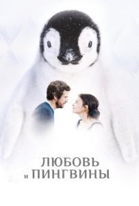 Кохання та пінгвіни