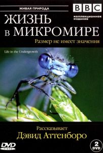 BBC: Життя у мікросвіті